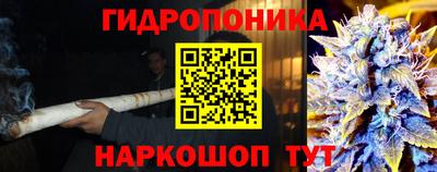 ГАЛЛЮЦИНОГЕННЫЕ ГРИБЫ Ирбит