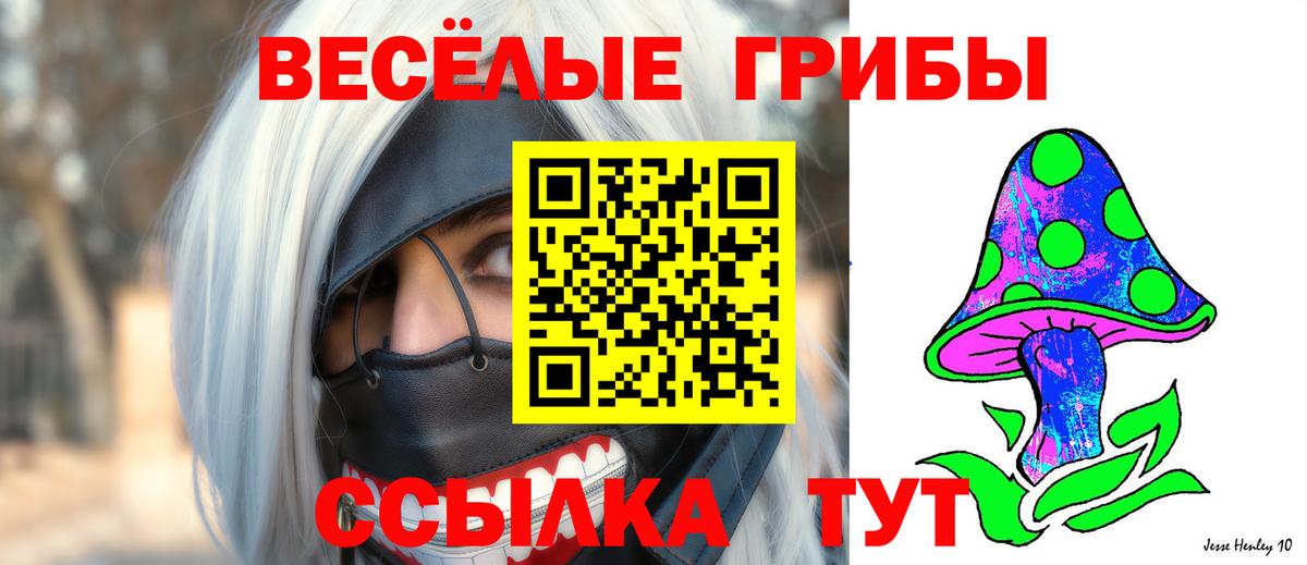Псилоцибиновые грибы Psilocybe  Галлюциногенные грибы мицелий  Вход с VPN  Верхняя Пышма 
